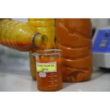 Crude Palm Oil 